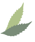 feuilles-devanture